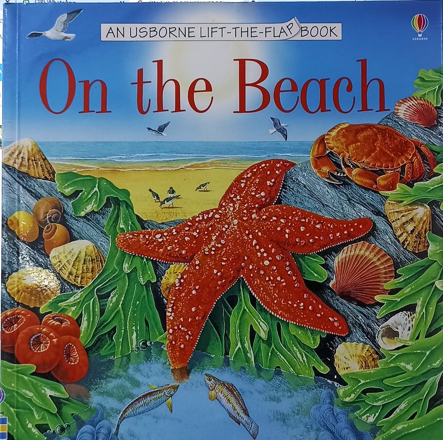 On the Beach (Usborne Lift-The-Flap)