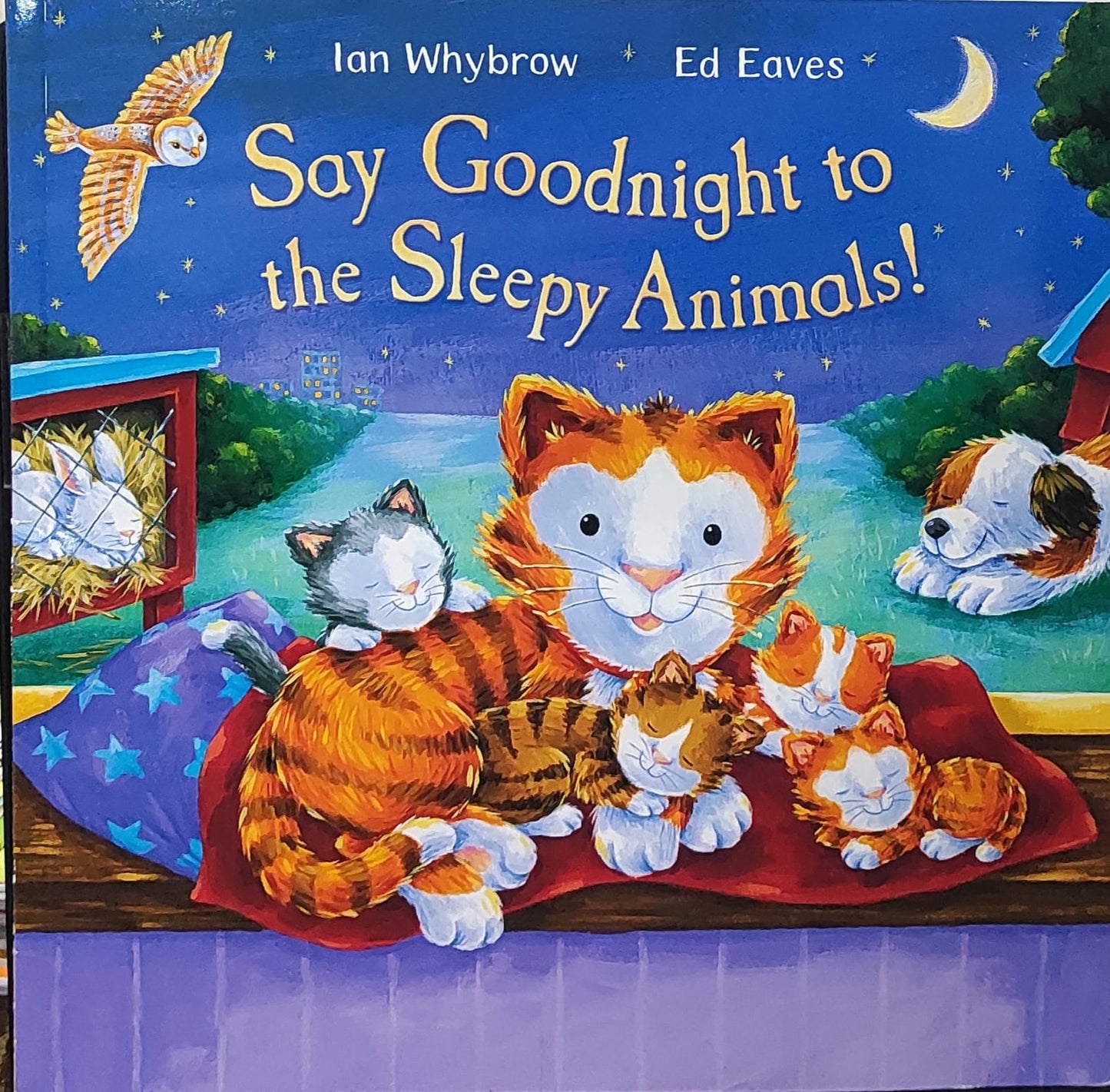 Say Goodnight to the Sleepy Animals!