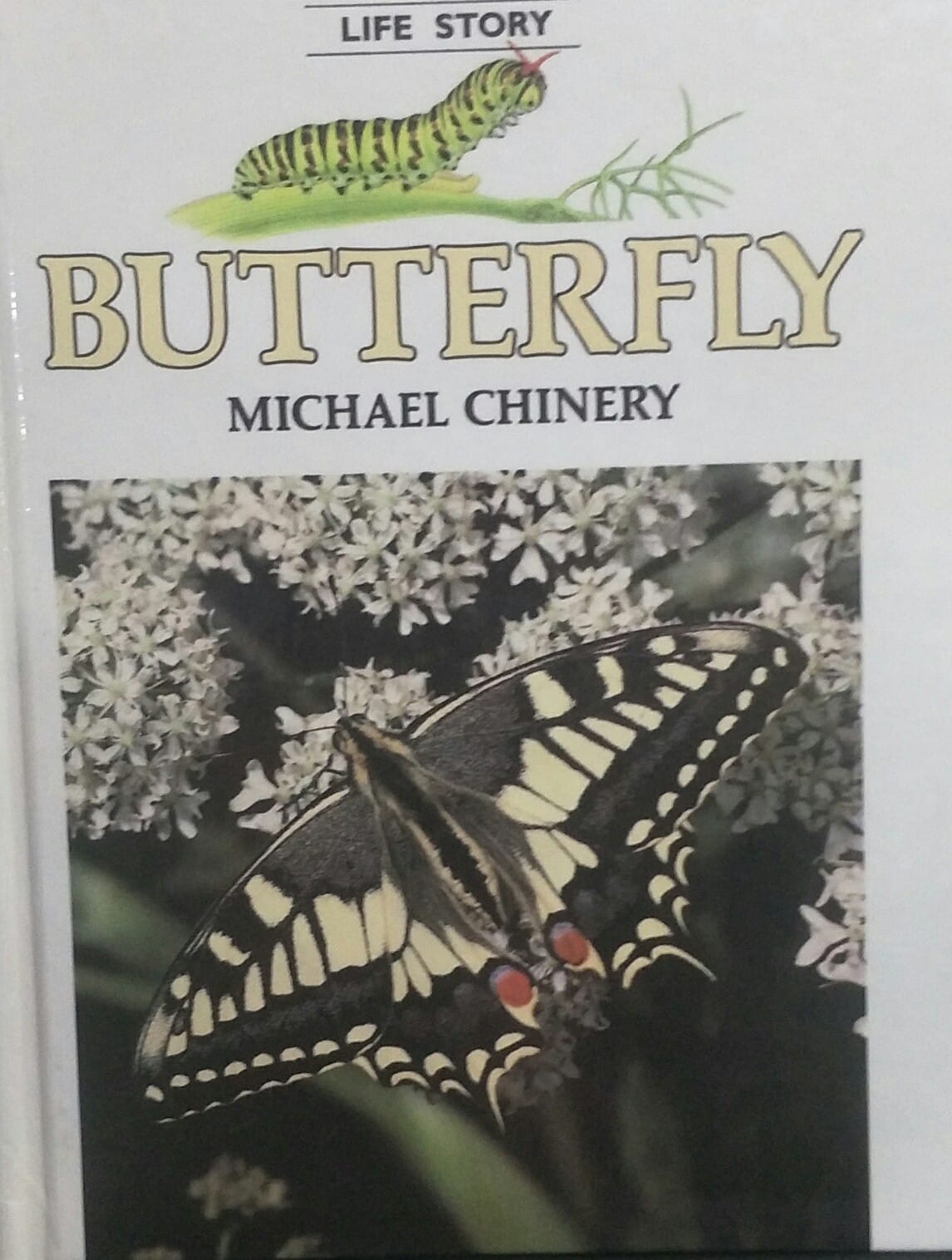 Butterfly Michael Chinery [HARDCOVER]