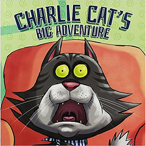Little Cats Big Adventure