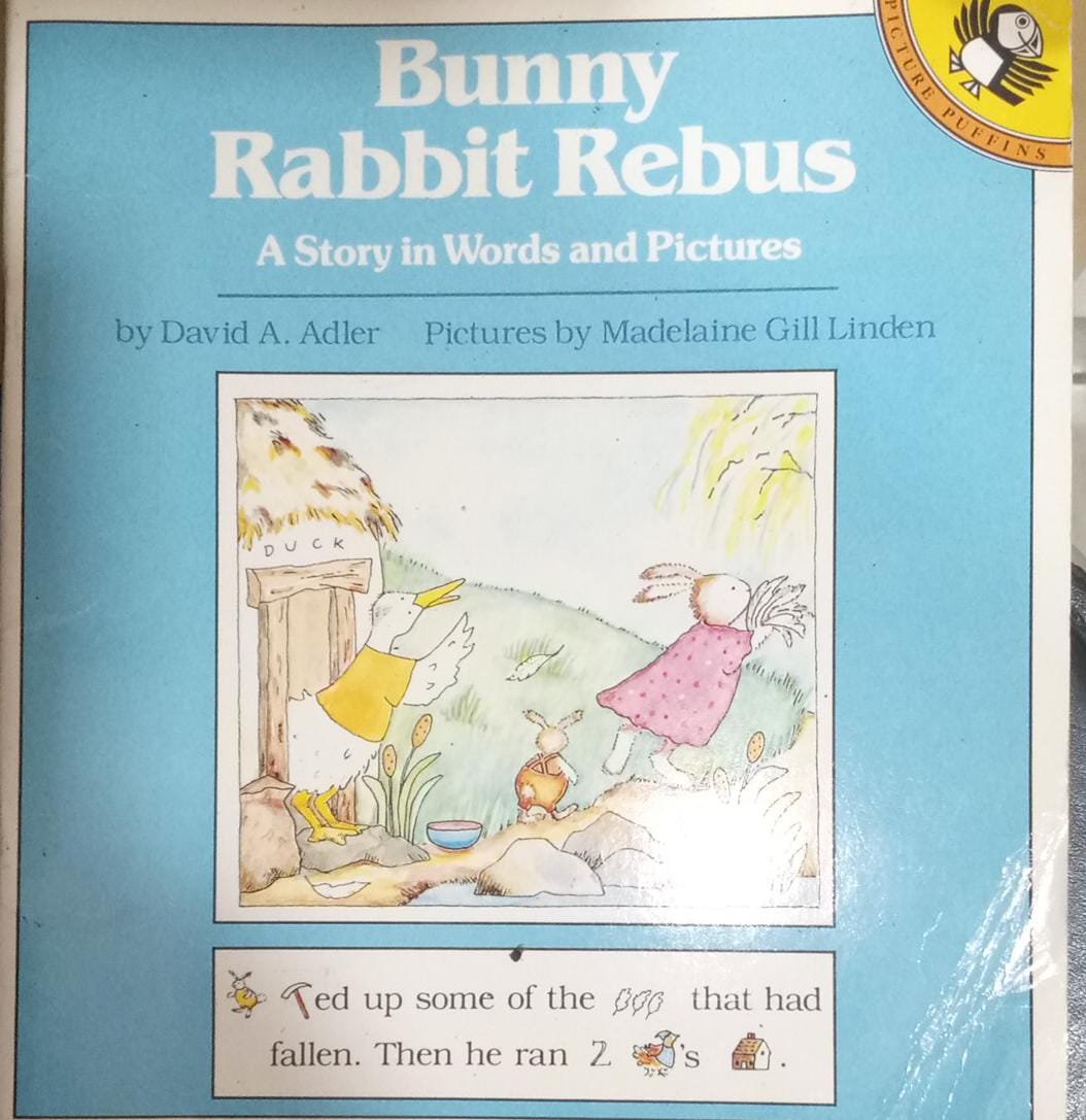 Bunny Rabbit Rebus A Story in Word And Pictures