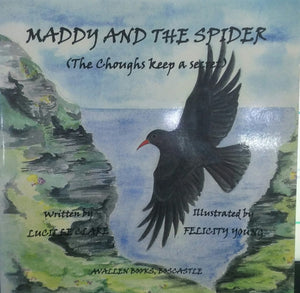 Maddy and the Spider