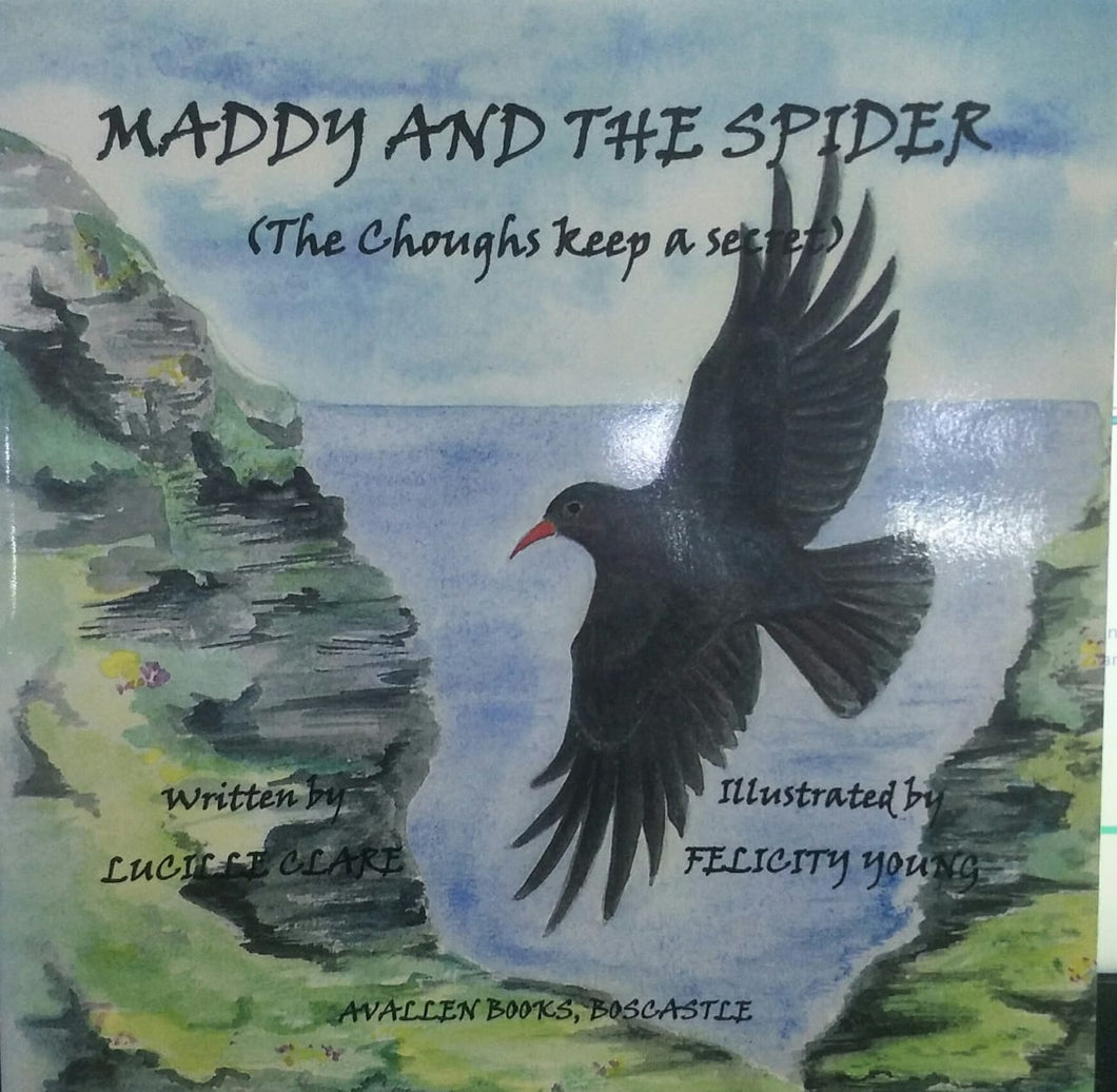 Maddy and the Spider