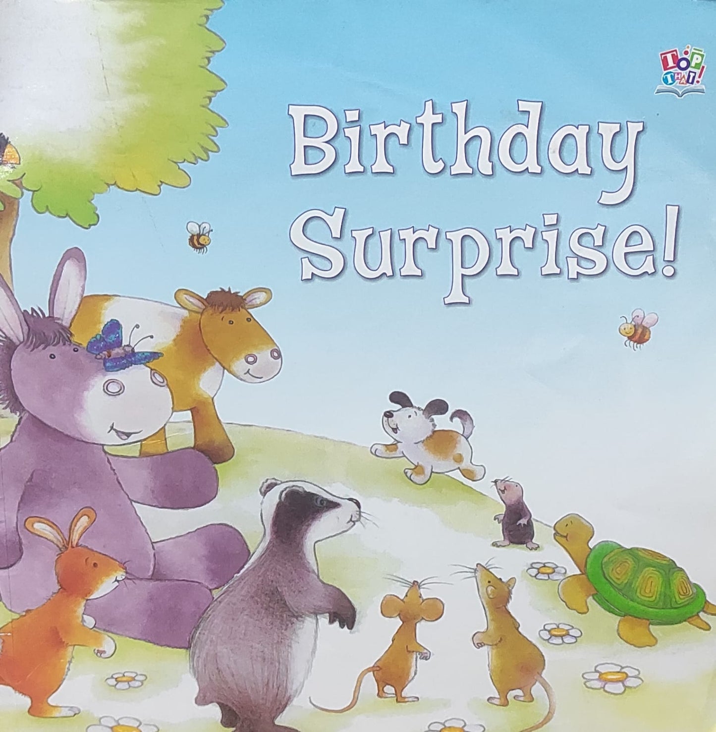 BIRTHDAY SURPRISE!