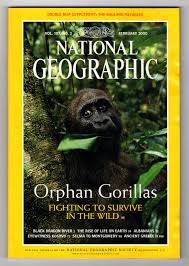 Orphan Gorillas [National Geographic] [rare books] [February 2000]