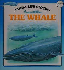 Animal Life Stories: The Whale