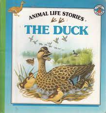 The Duck (Animal Life Stories)