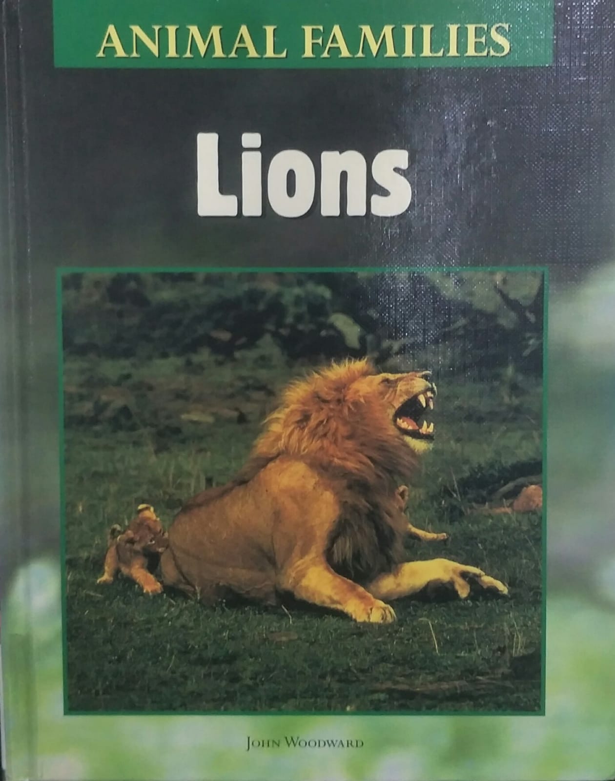 Animal Families Lions [HARDCOVER]