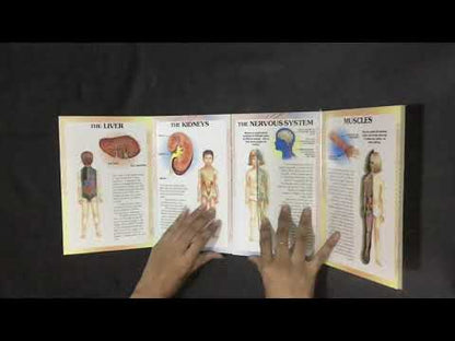 My First Book of the Human Body (Reference) Board book