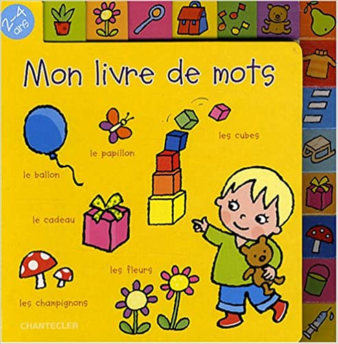 mon livre de mots [Board book]
