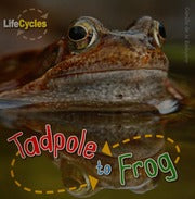 Tadpole to frog (Life Cycles)